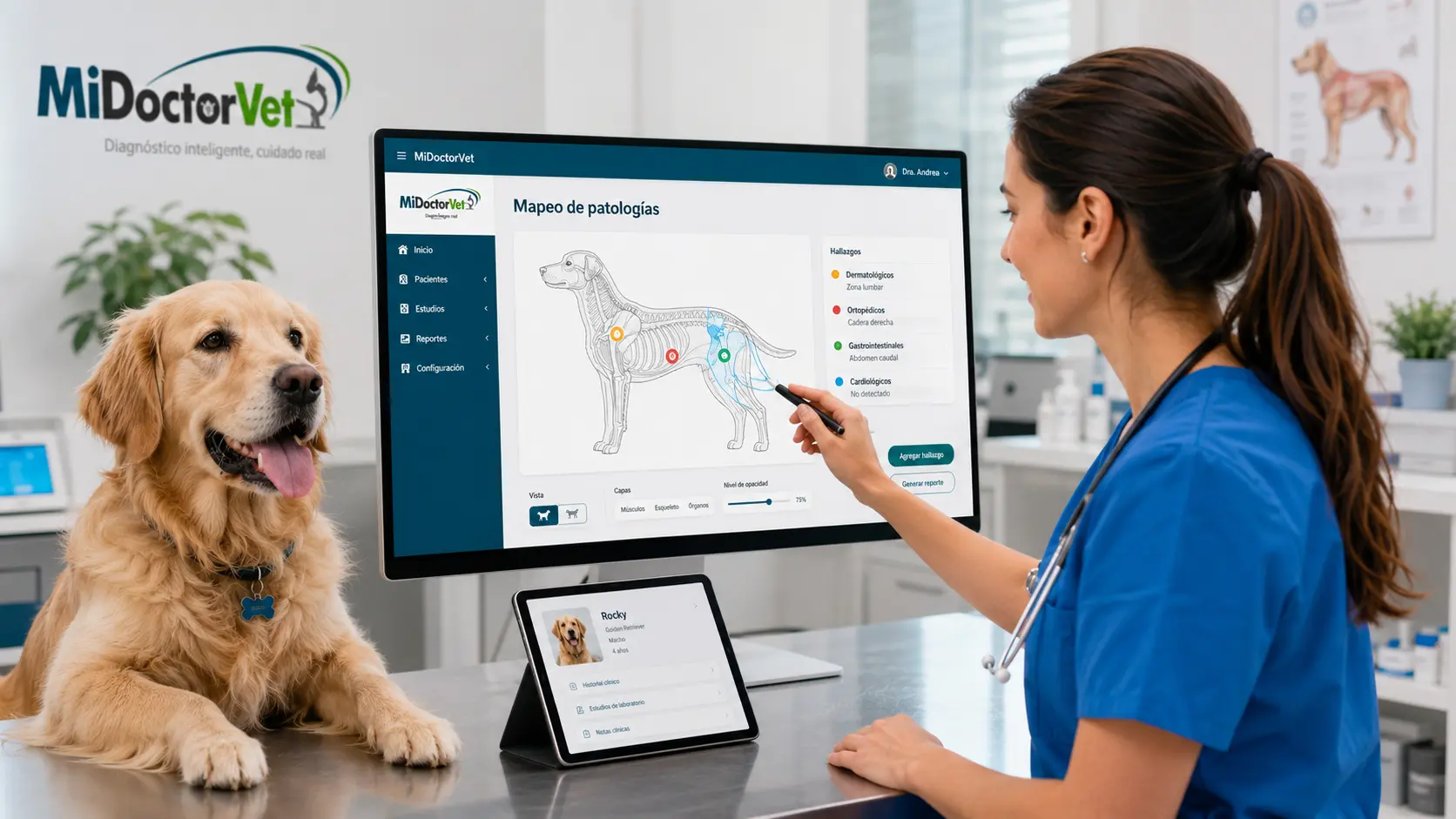 Médica veterinaria señalando el mapeo de patologías de MiDoctorVet con hallazgos dermatológicos, ortopédicos y gastrointestinales sobre el esquema anatómico del paciente